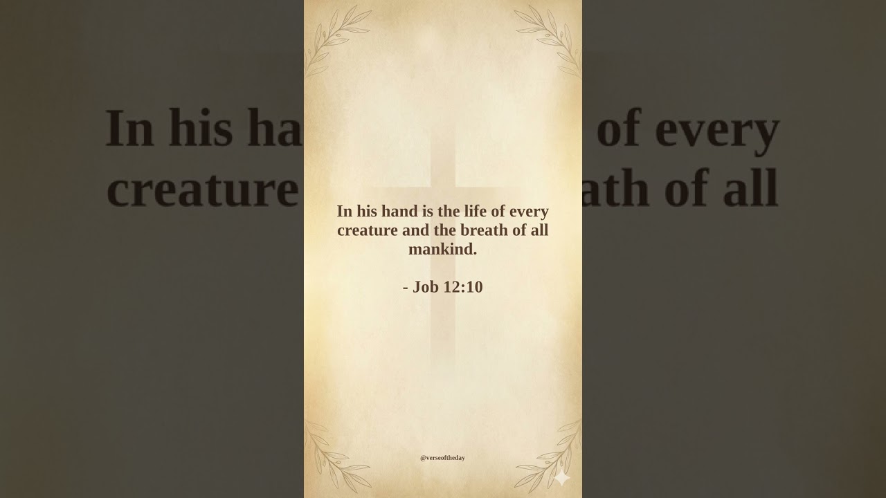 Daily Bible Reading: January 13th 🙏 Job 11-13 & Matthew 9 