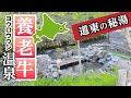 無料混浴露天風呂・養老牛温泉からまつの湯に入ってみた @北海道中標津町 Yoroushi Hot-spring in Nakashibetsu Hokkaido