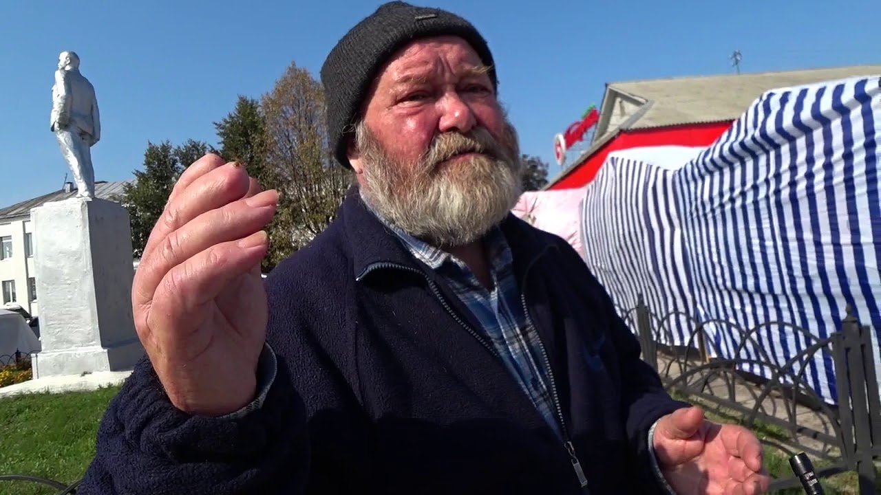 Пчелы лечат инсульт - YouTube