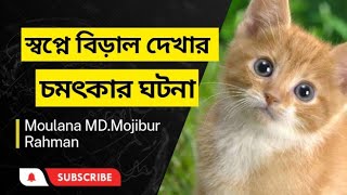 স্বপ্নে বিড়াল দেখার চমৎকার ঘটনা viral স্বপ্ন islam