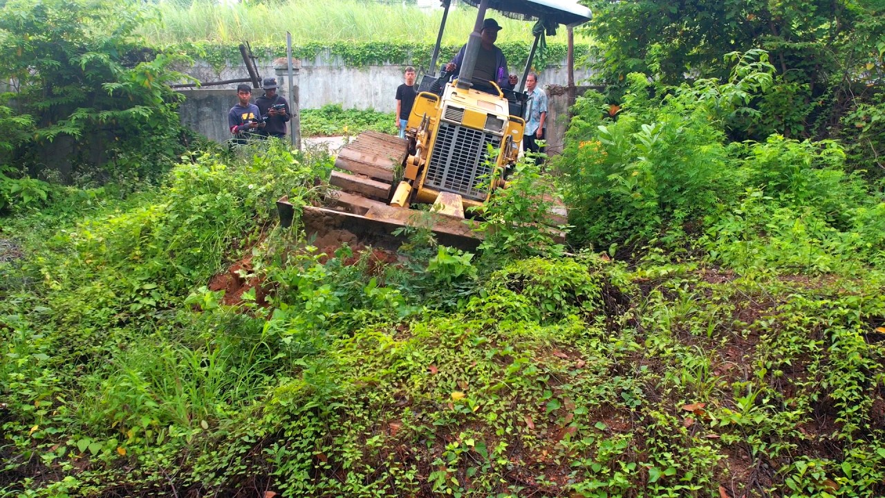 Impressive Project Operator Skills Clearing The Forest By Dozer D20P Good Forest & clearing