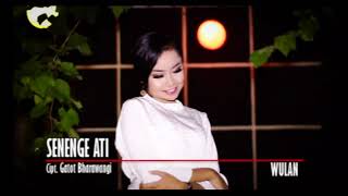 SENENGE ATI - WULAN (#BANYUWANGI_SONG #WULAN)