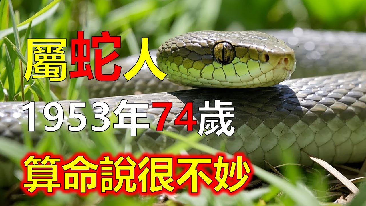 1953年屬蛇人，2026年算命說很不妙