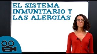 El sistema inmunitario y las alergias