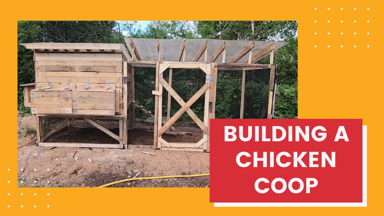 Chicken coop from pallets timelapse YouTube