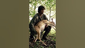 A deer gets hit by an arrow, then a shepherd helps it #ai
