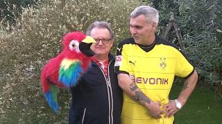 Der Bvb Papagei - Die Fälschung - Los Dortmundas