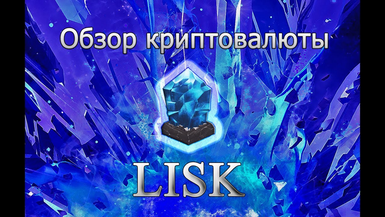 Обзор криптовалюты Lisk (LSK)