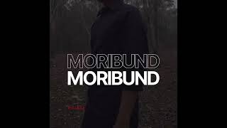 Video thumbnail of "Pseudo Human - Moribund[Official Audio]"