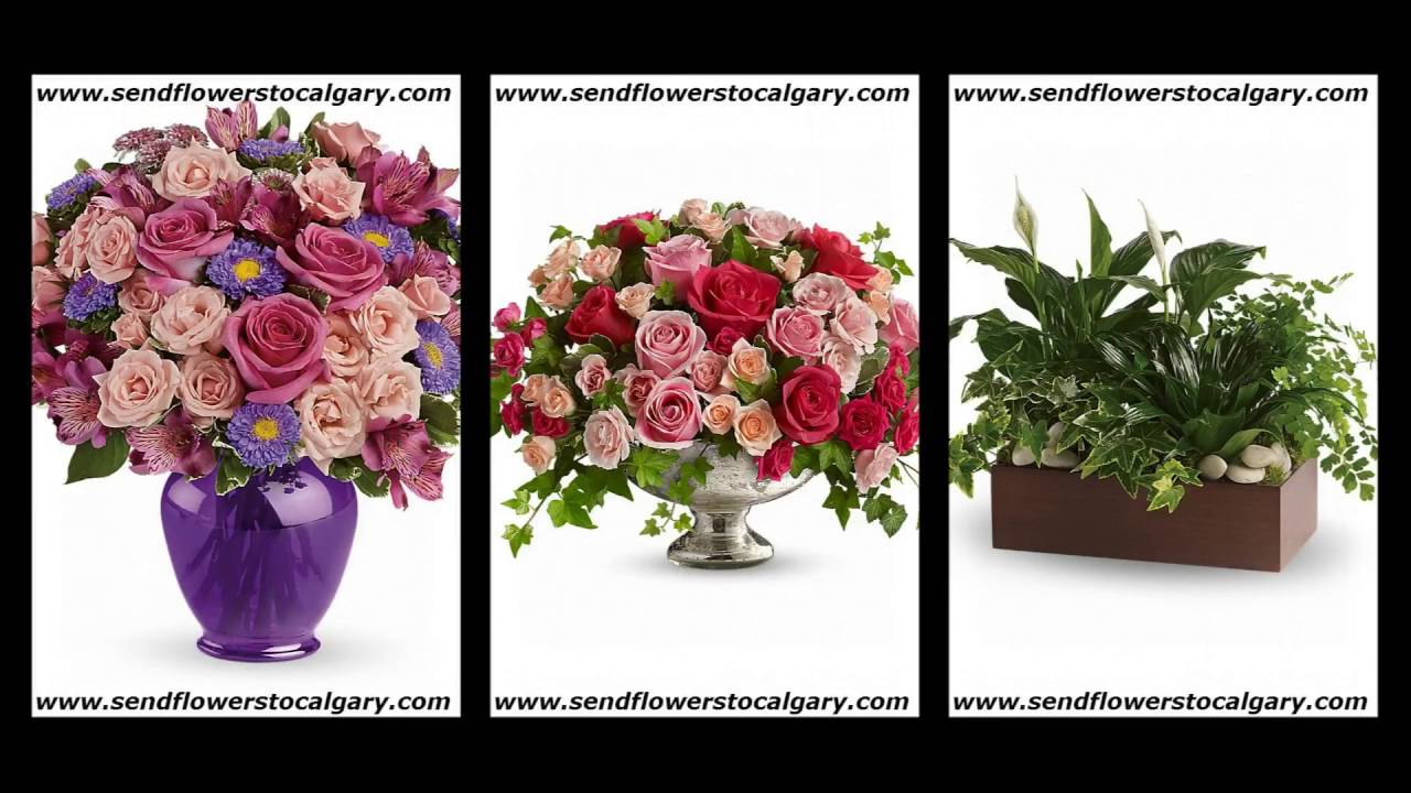 Send Flowers from Maine, USA to Calgary, Alberta, Canada