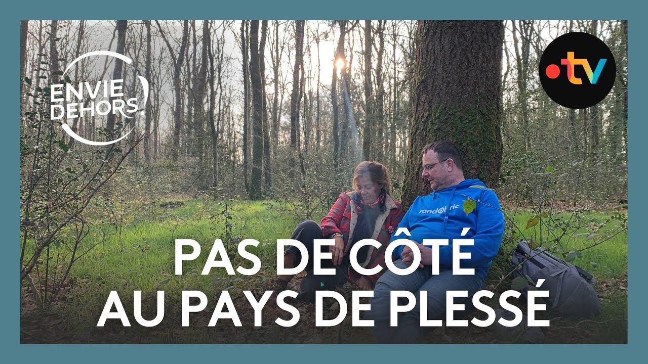 Habitat léger et vie bohème : ces Français qui choisissent la liberté à Plessé