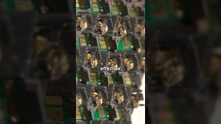 How Bees Are Trained For Bombs 😲