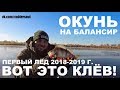 ПЕРВЫЙ ЛЁД 2018 - 2019 г. Открытие сезона. ЛОВЛЯ ОКУНЯ НА БАЛАНСИР - НАСТОЯЩИЙ ЖОР! Зимняя Рыбалка.