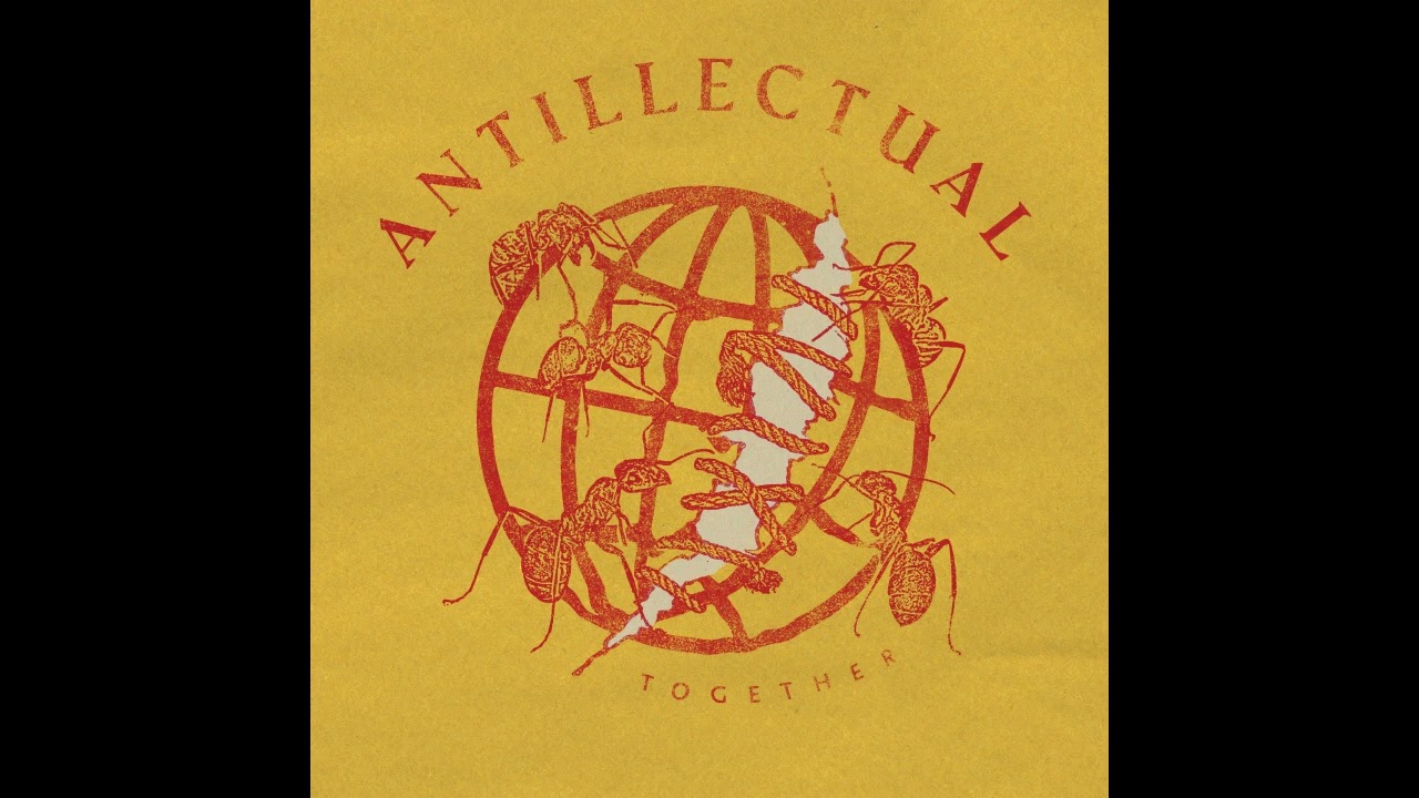 Guarda Antillectual - Together su YouTube Guarda Antillectual - Together su YouTube