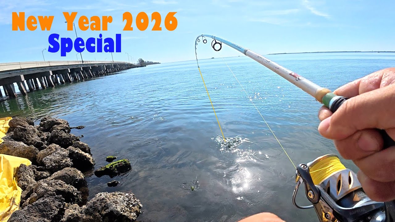 Fishing The Skyway Bridges For Dinner! (Happy New Year 2026)