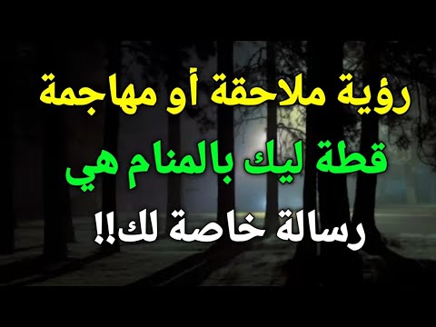 فيديو: هل ستمزق قطة أريكتي؟