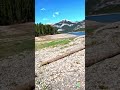Sunny Spring Barrier Lake, Kananaskis | Rocky Mountain Lakeshore Scenery, Alberta, Canada