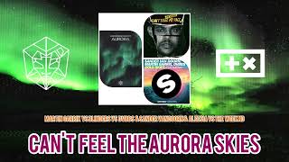 Martin Garrix VS Blinders, San van Doorn, DVBBS, Aleesia & The Weeknd-  Aurora Skies I Shady Mashup