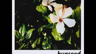 BUGSEED - TO DIG