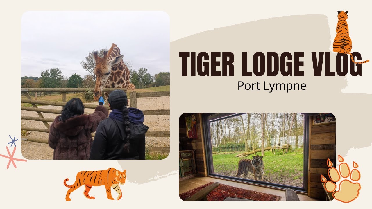 Tiger Lodge, Port Lympne Reserve Vlog Maisha YouTube