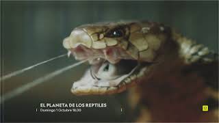 EL PLANETA DE LOS REPTILES | NATIONAL GEOGRAPHIC ESPAÑA by National Geographic España 25,319 views 7 months ago 31 seconds