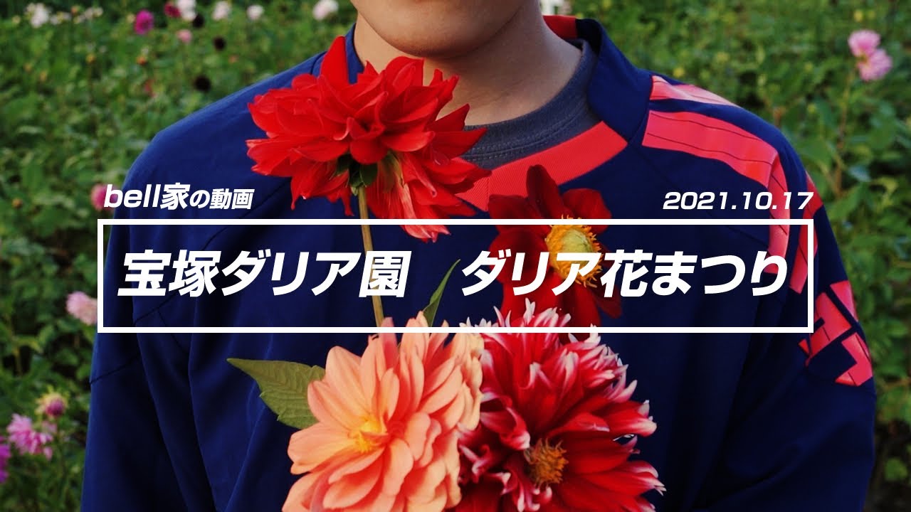 宝塚ダリア園 ダリア花まつり に行ってきました Youtube