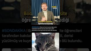 Bu Haberleri Cımbızla Çekip Bulmuyorum.bunlar,Türkiye’nin Hemen Her Gün Bir Yerinde Yaşanan Olaylar.