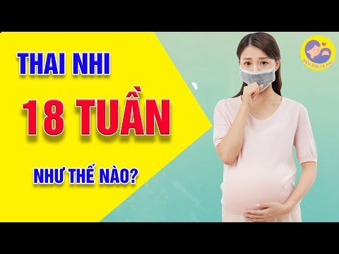 Video: 18 Tuần Của Thai Kỳ: Cảm Giác, Sự Phát Triển Của Thai Nhi