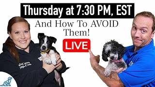 6 COMMON Puppy Training Mistakes That New Dog Owners Make