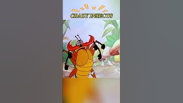 You’ve never seen such fierce insects.