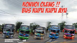 konvoi oleng bus kupu kupu ayu !! keluar rumah makan kurnia jatim