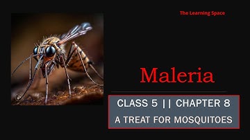 A Treat for Mosquitoes | Class 5 | Looking Around | EVS | CBSE Diksha Video