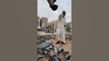 أذكار الصباح #منطقة المصلى #اكسبلور #حب_النبي_يجمعنا #love #صلى_الله_عليه_وسلم