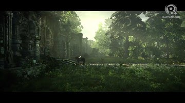 Defeating Shadow of the Colossus