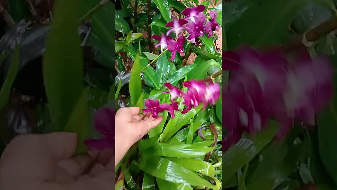 6 de janeiro de 2026