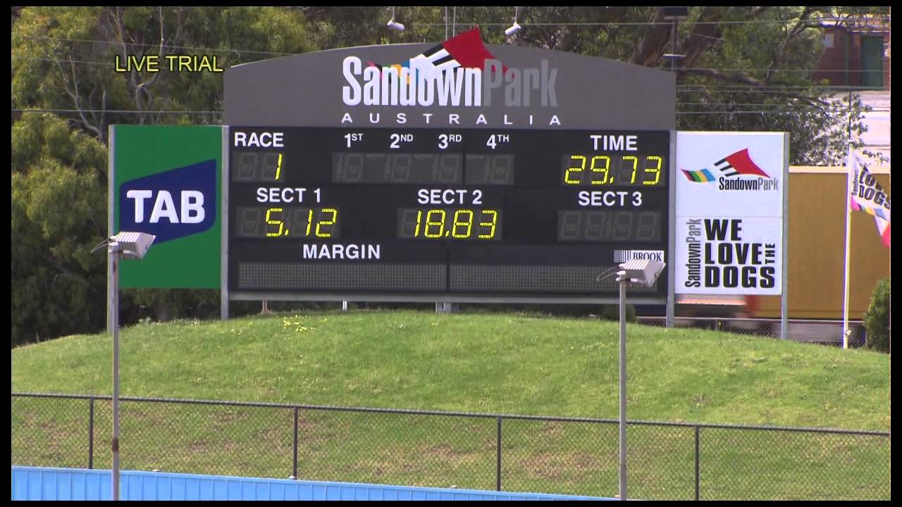 Zambora Brockie trial 8 Nov. 2015 YouTube