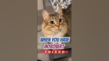 WHEN YOU HAVE INTROVERT FRIEND #pov #introvert #funnyvideo