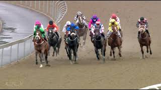 Vidéo de la course PMU PRIX THE FINISHING POST - TRACK & BALL GAMING