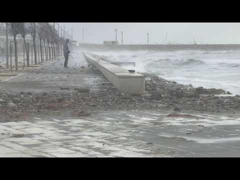 Video: Djegiet Dhe Djegiet Në Macet