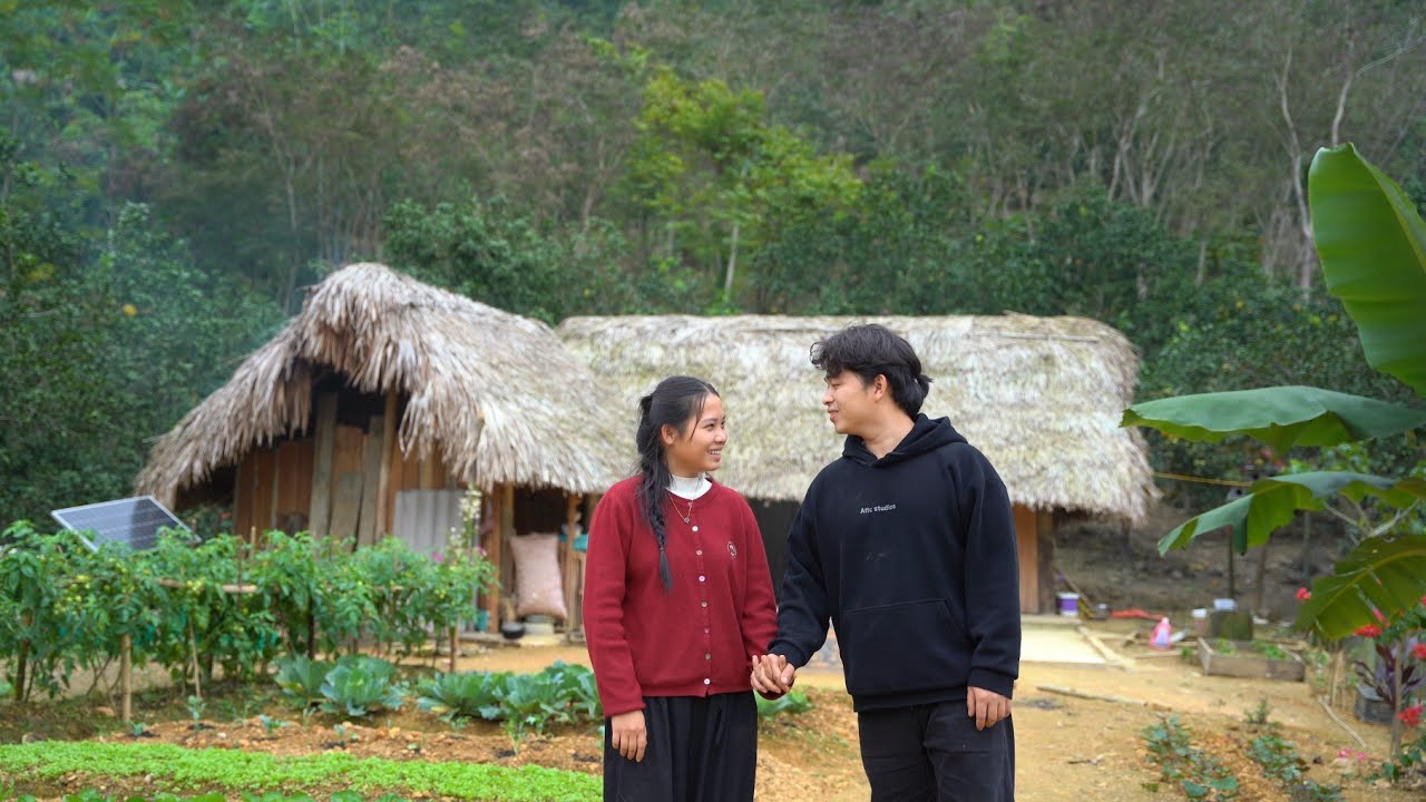 Г-н Хунг собирает апельсины в конце сезона | Новое появление