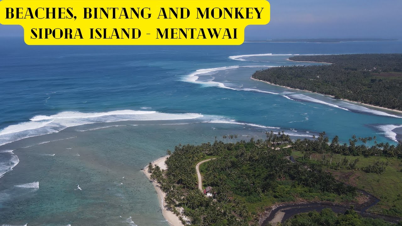 Bintang, Monkey and Beaches - Sipora Island - Mentawai - Indonesia