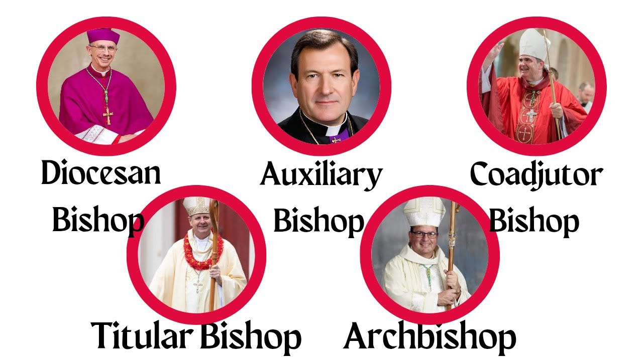Every Rank of the Catholic Bishops Explained in 5 Minutes Part 1