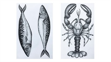 Still Life/Mark Making Techniques (Part 2 - Applying Tone)