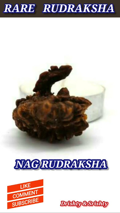 Mahadev song status || ॐ || RARE RUDRAKSHA ||#shorts#ॐ#rudraksha#mahadav#new#drishty&srishty#viral