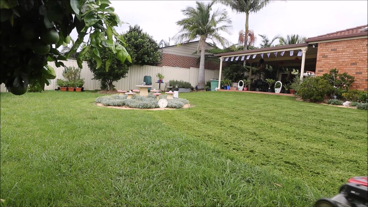 i-have-to-mow-the-lawn-every-week-in-summer-youtube
