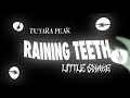 Capture de la vidéo Little Snake & Tutara Peak - 'Raining Teeth' (Official Visualizer)