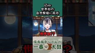 まさかのiZooが世界初の自然繁殖に成功していて驚愕【儒烏風亭らでん 切り抜きショート】