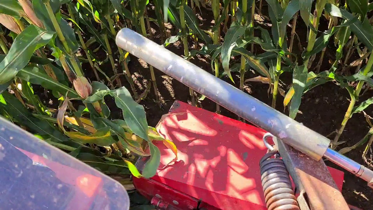 Siliranje 2020 - Pottinger MEX GT