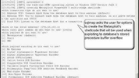 Official sqlmap video demonstration 12