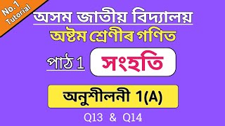 assam jatiya bidyalay class 8 maths lesson 1 | ajb class 8 maths ex 1a q13 q14